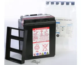 Yuasa Maintenance Free YTX14AH-BS Battery